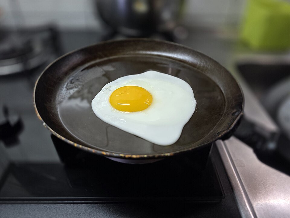 A Single Egg