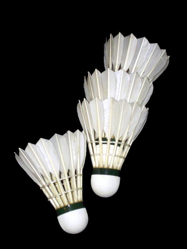 Badminton Shuttlecock