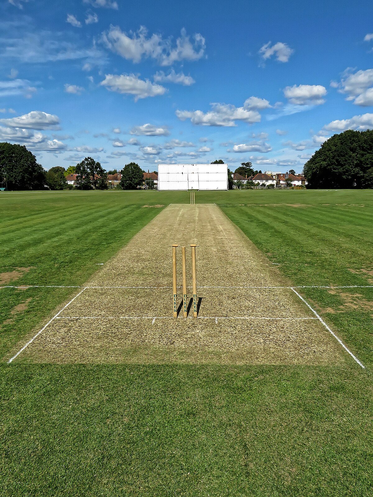 Cricket Pitch