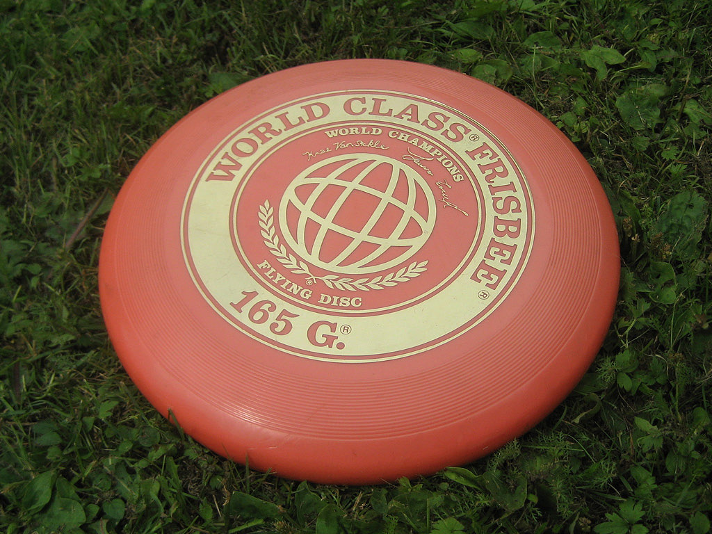 Frisbee (Standard 175g)