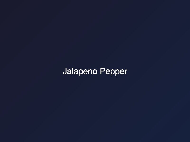 Jalapeno Pepper
