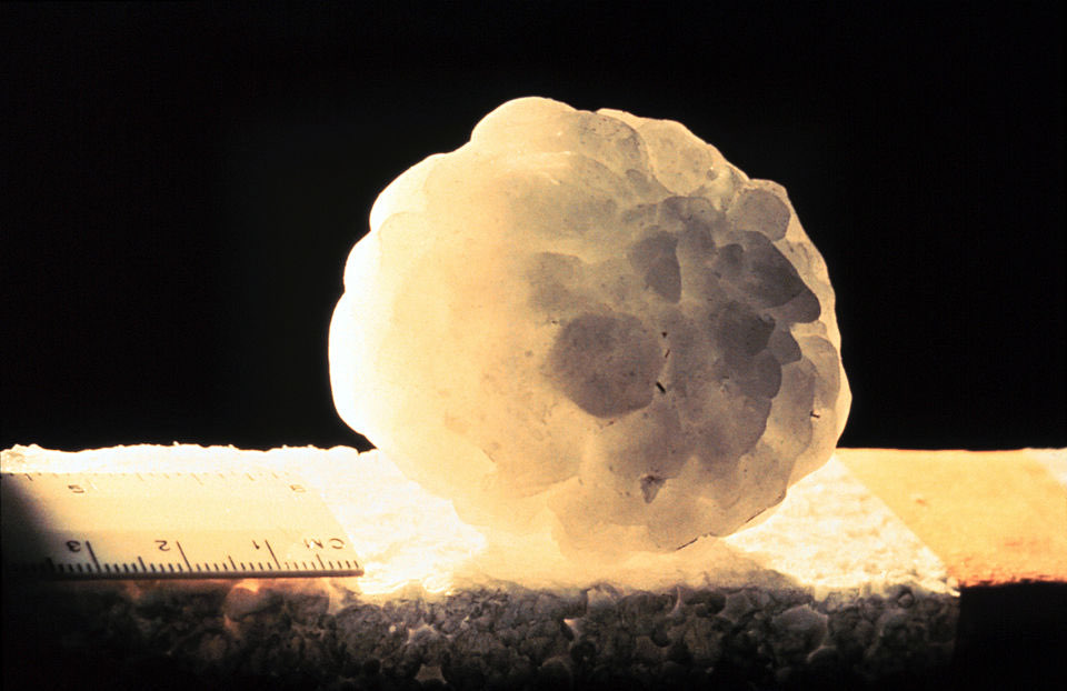 Largest Recorded Hailstone