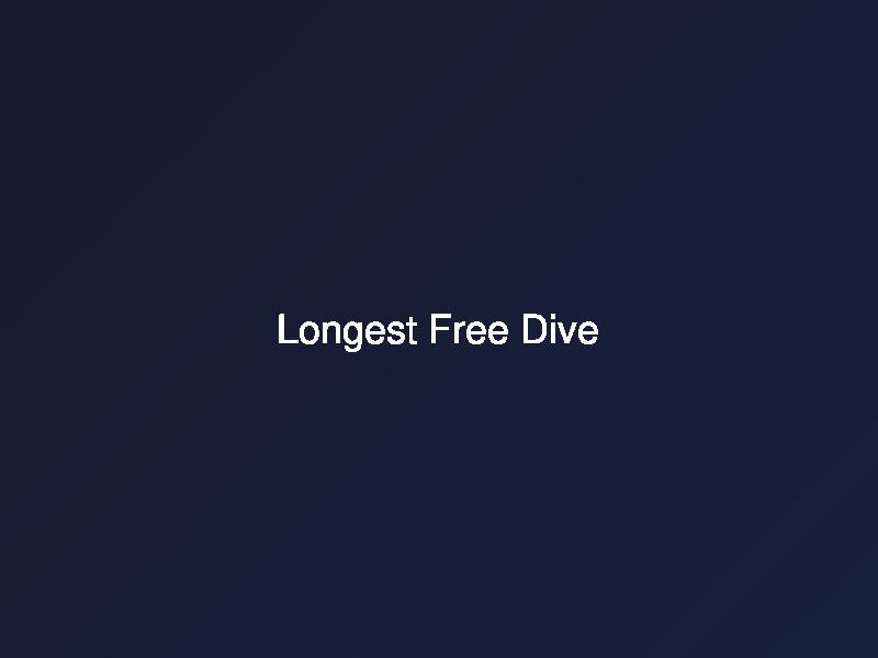 Longest Free Dive