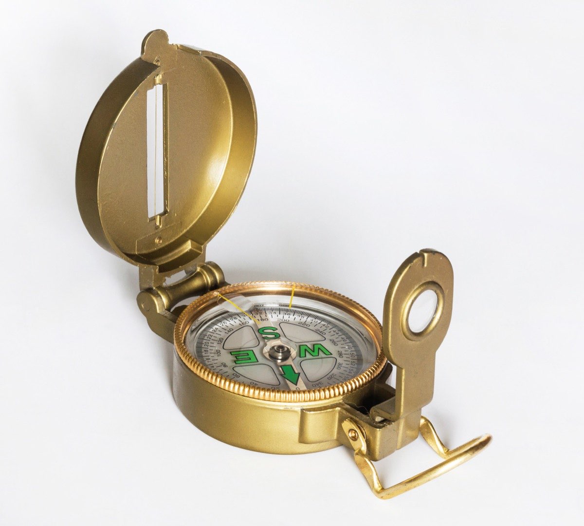 Magnetic Compass