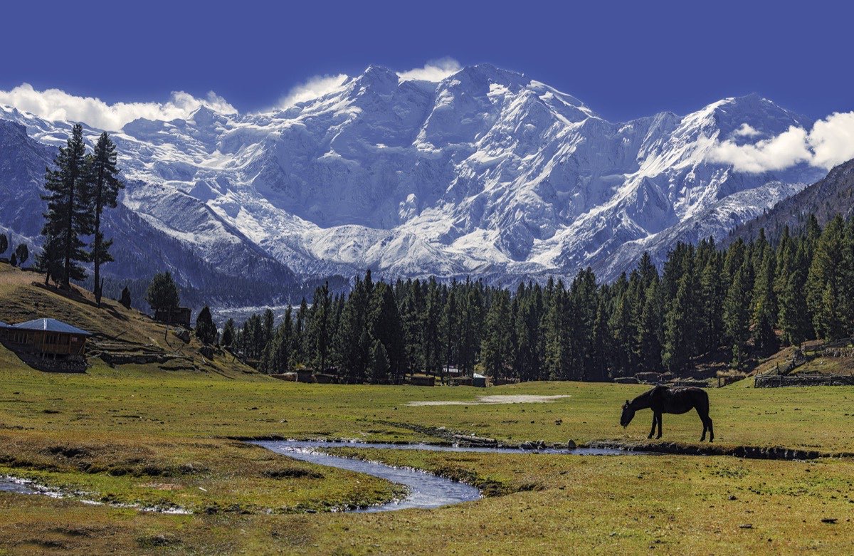 Nanga Parbat