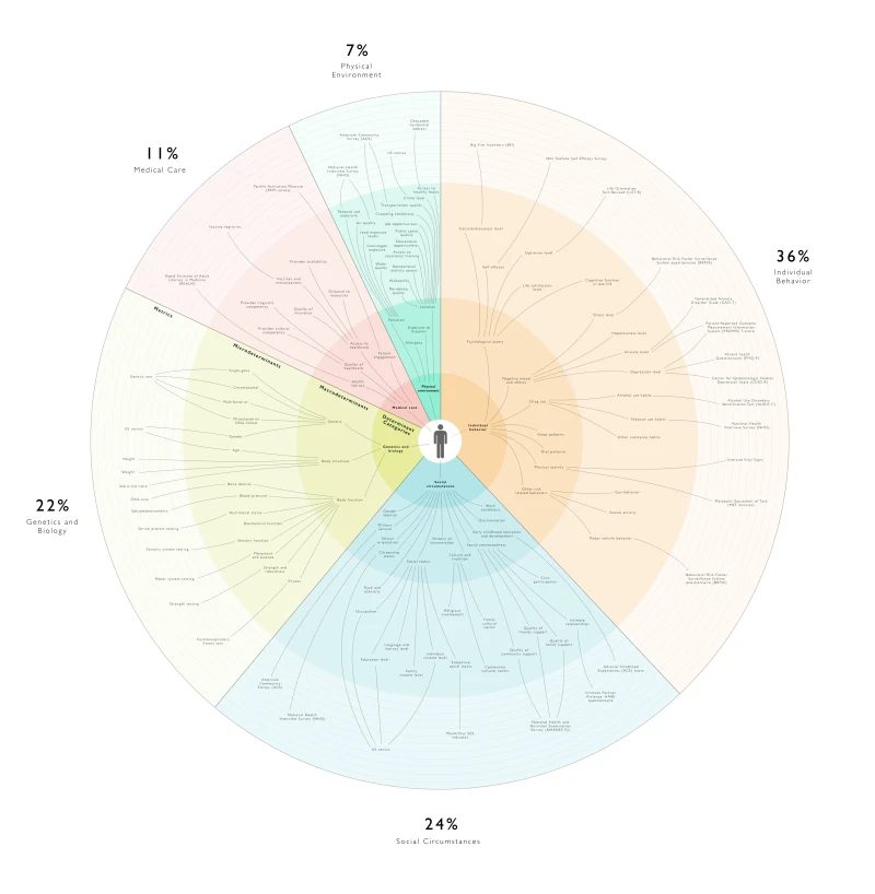 Social determinants of health diagram